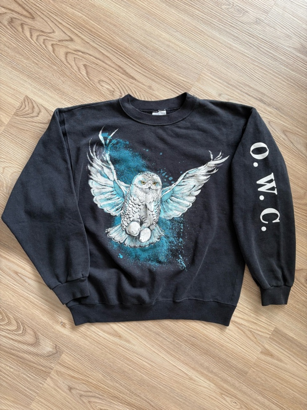 Hanes Black Crewneck Sweatshirt with White & Teal Owl Graphic